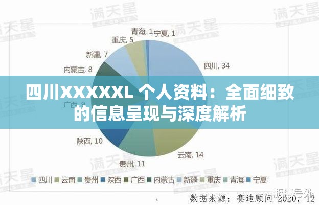四川XXXXXL 个人资料：全面细致的信息呈现与深度解析