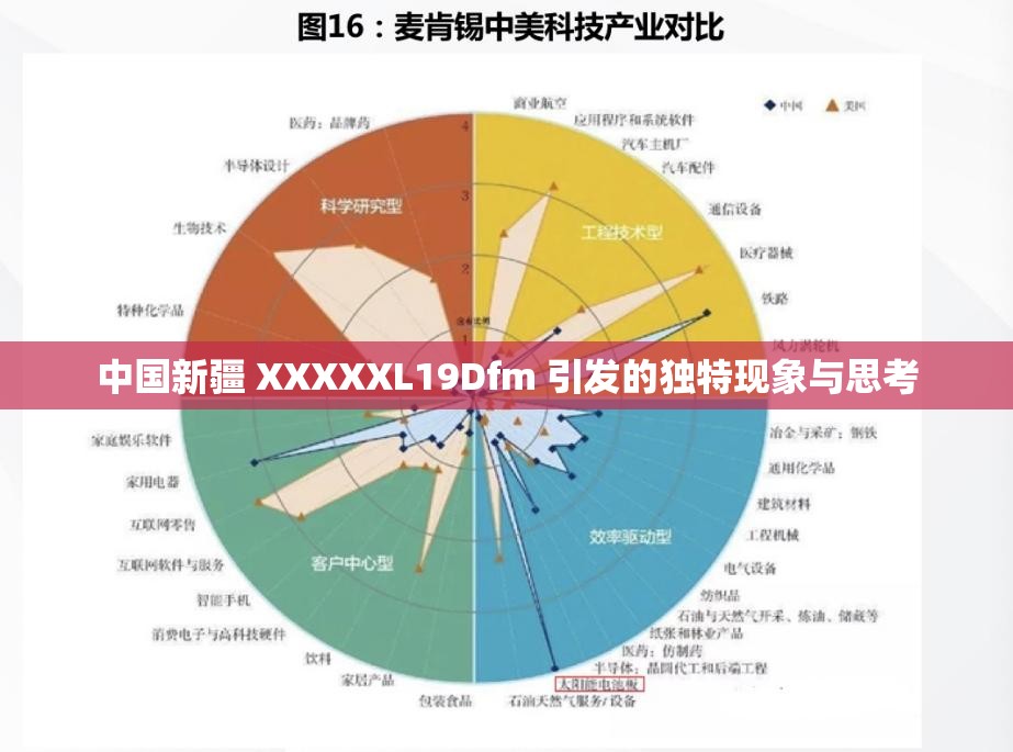 中国新疆 XXXXXL19Dfm 引发的独特现象与思考