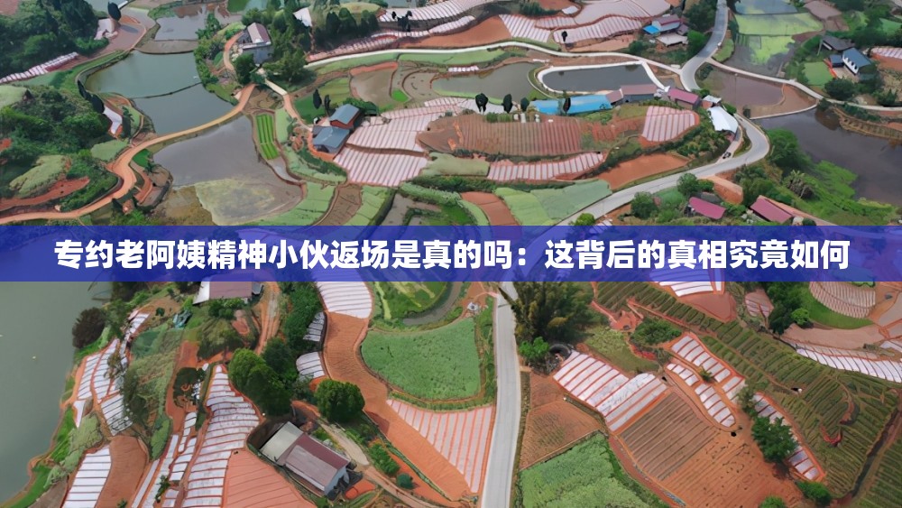 专约老阿姨精神小伙返场是真的吗：这背后的真相究竟如何