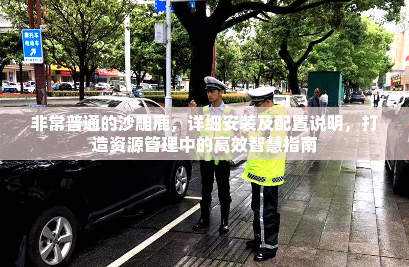 非常普通的沙雕鹿，详细安装及配置说明，打造资源管理中的高效智慧指南
