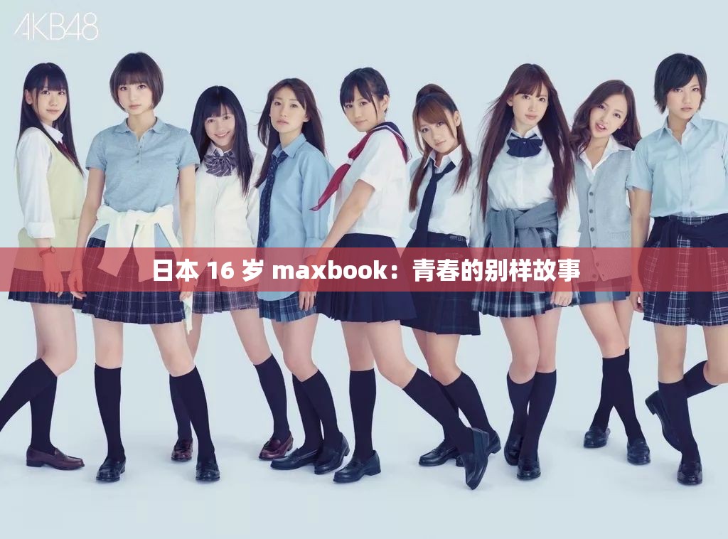 日本 16 岁 maxbook：青春的别样故事