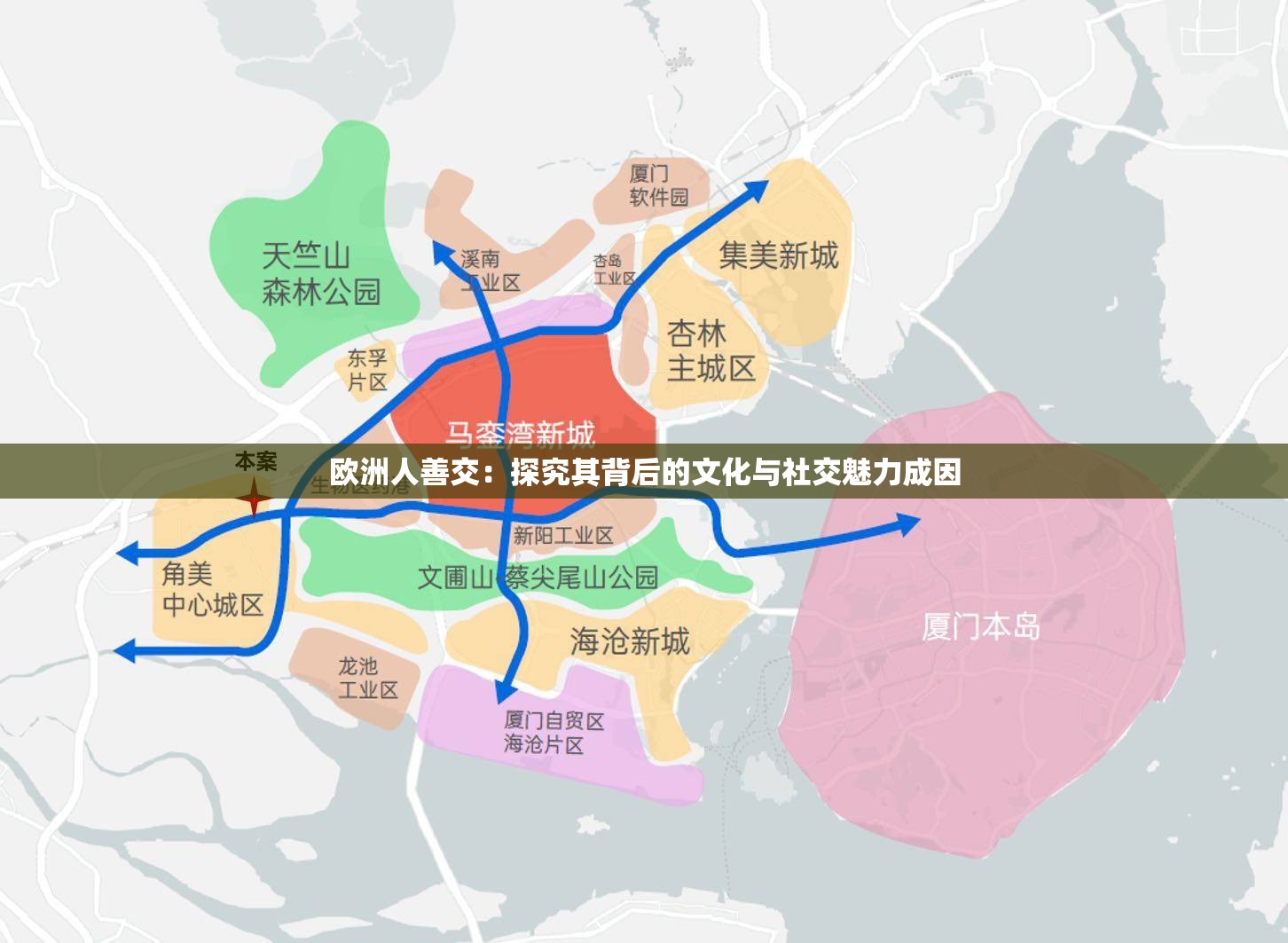 欧洲人善交：探究其背后的文化与社交魅力成因