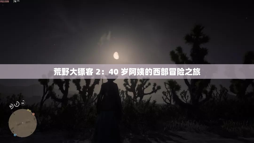 荒野大镖客 2：40 岁阿姨的西部冒险之旅