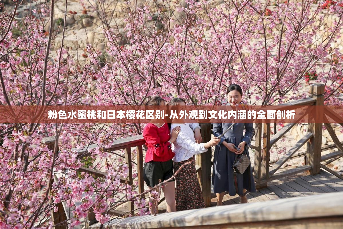 粉色水蜜桃和日本樱花区别-从外观到文化内涵的全面剖析