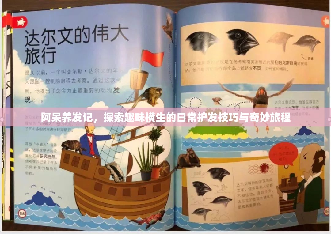 阿呆养发记，探索趣味横生的日常护发技巧与奇妙旅程