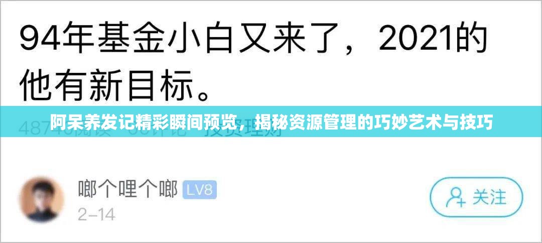 阿呆养发记精彩瞬间预览，揭秘资源管理的巧妙艺术与技巧