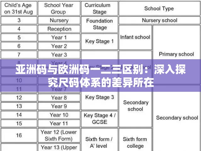 亚洲码与欧洲码一二三区别：深入探究尺码体系的差异所在