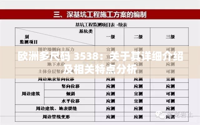 欧洲多尺码 3538：关于其详细介绍及相关特点分析