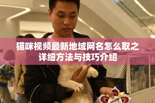 猫咪视频最新地域网名怎么取之详细方法与技巧介绍