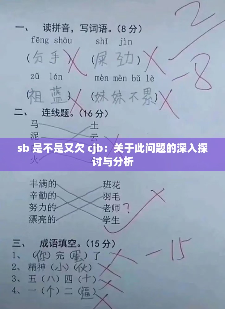 sb 是不是又欠 cjb：关于此问题的深入探讨与分析