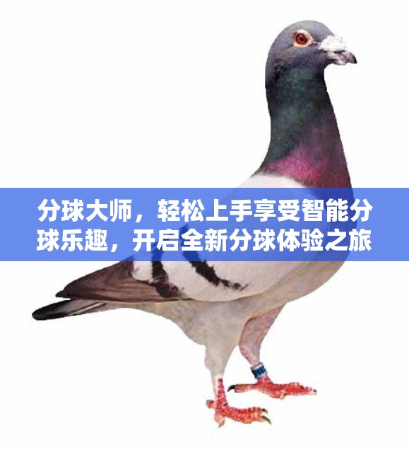 分球大师，轻松上手享受智能分球乐趣，开启全新分球体验之旅