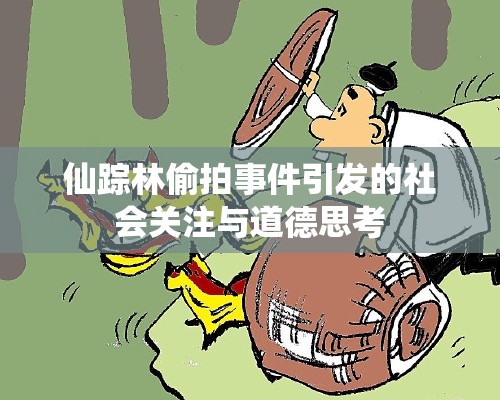 仙踪林偷拍事件引发的社会关注与道德思考
