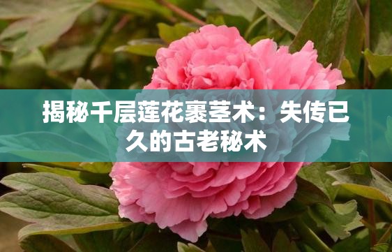 揭秘千层莲花裹茎术：失传已久的古老秘术