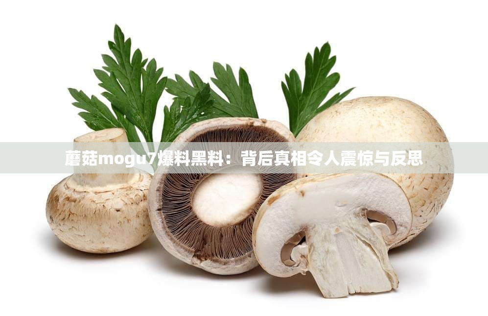 蘑菇mogu7爆料黑料：背后真相令人震惊与反思