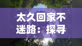 太久回家不迷路：探寻归途中那永恒的指引之光