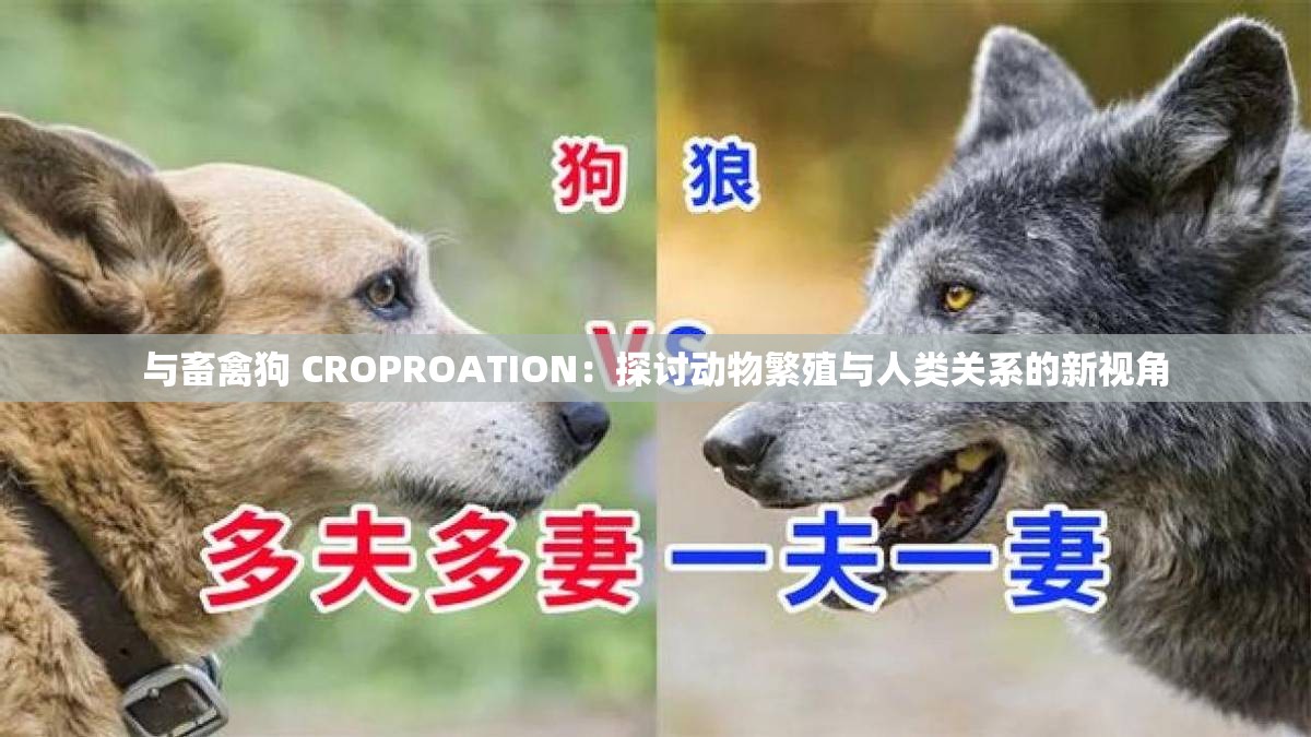 与畜禽狗 CROPROATION：探讨动物繁殖与人类关系的新视角