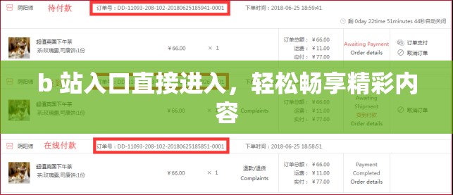 b 站入口直接进入，轻松畅享精彩内容