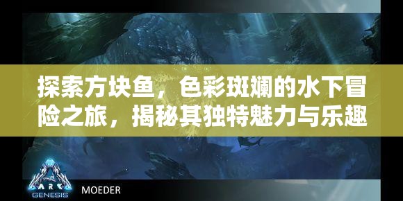 探索方块鱼，色彩斑斓的水下冒险之旅，揭秘其独特魅力与乐趣所在