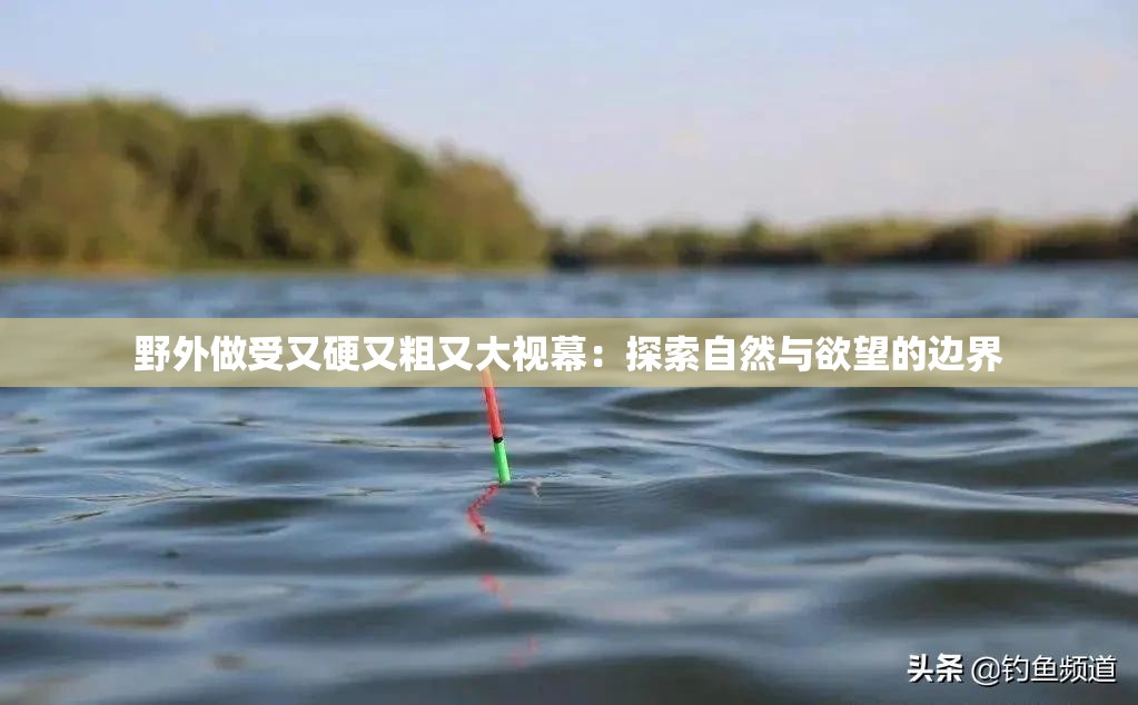 野外做受又硬又粗又大视幕：探索自然与欲望的边界