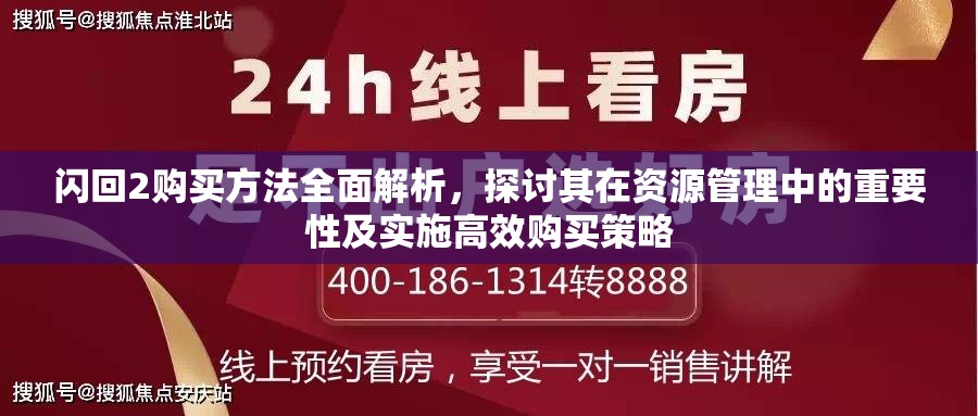 闪回2购买方法全面解析，探讨其在资源管理中的重要性及实施高效购买策略