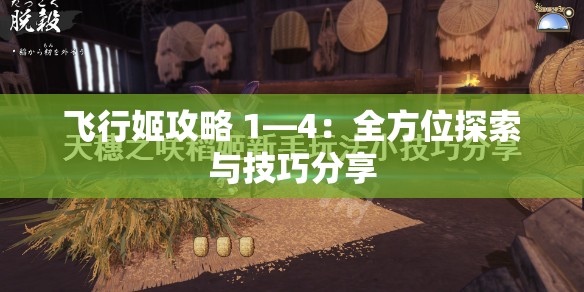 飞行姬攻略 1—4：全方位探索与技巧分享