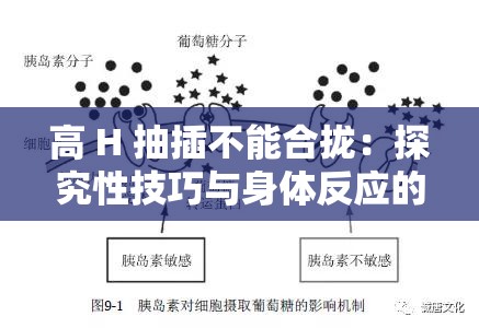 高 H 抽插不能合拢：探究性技巧与身体反应的关系