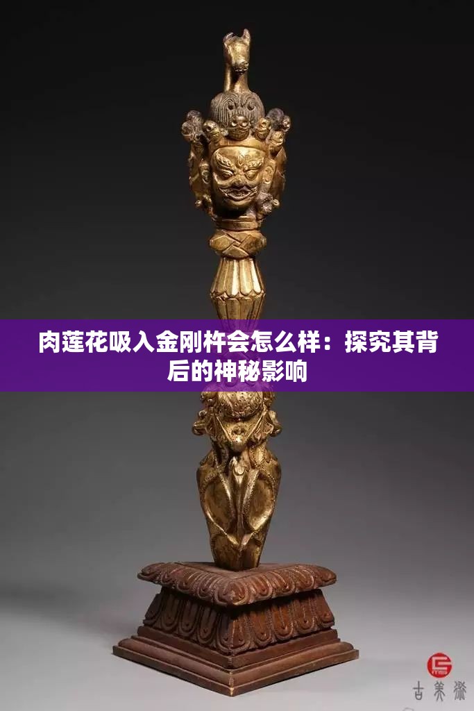 肉莲花吸入金刚杵会怎么样：探究其背后的神秘影响