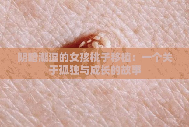 阴暗潮湿的女孩桃子移植：一个关于孤独与成长的故事