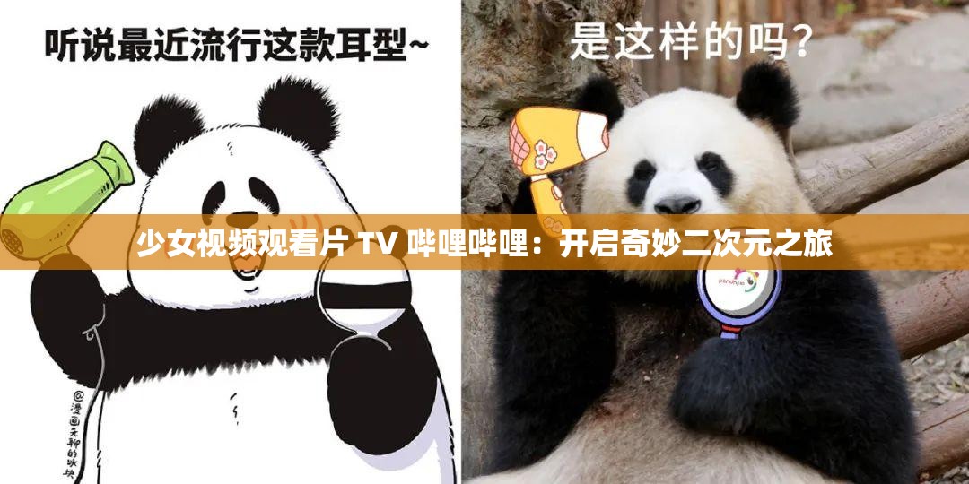 少女视频观看片 TV 哔哩哔哩：开启奇妙二次元之旅