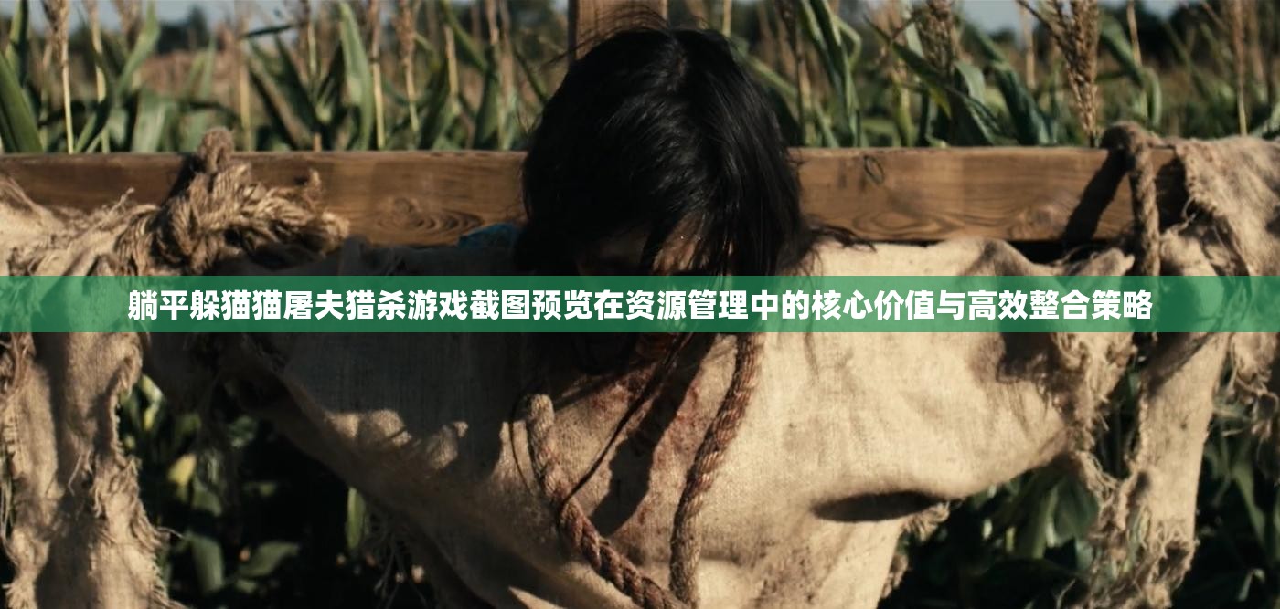 躺平躲猫猫屠夫猎杀游戏截图预览在资源管理中的核心价值与高效整合策略