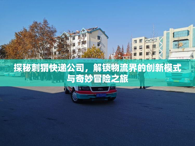 探秘刺猬快递公司，解锁物流界的创新模式与奇妙冒险之旅