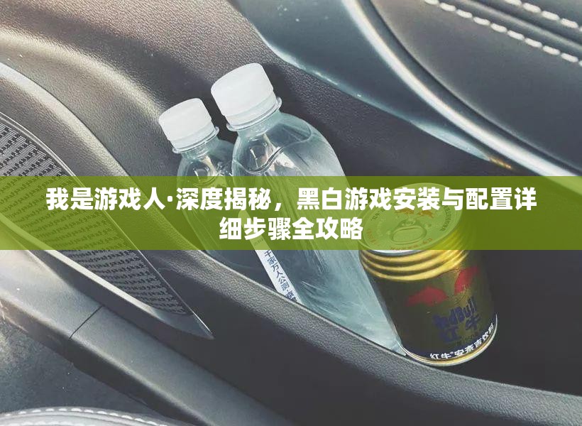我是游戏人·深度揭秘，黑白游戏安装与配置详细步骤全攻略