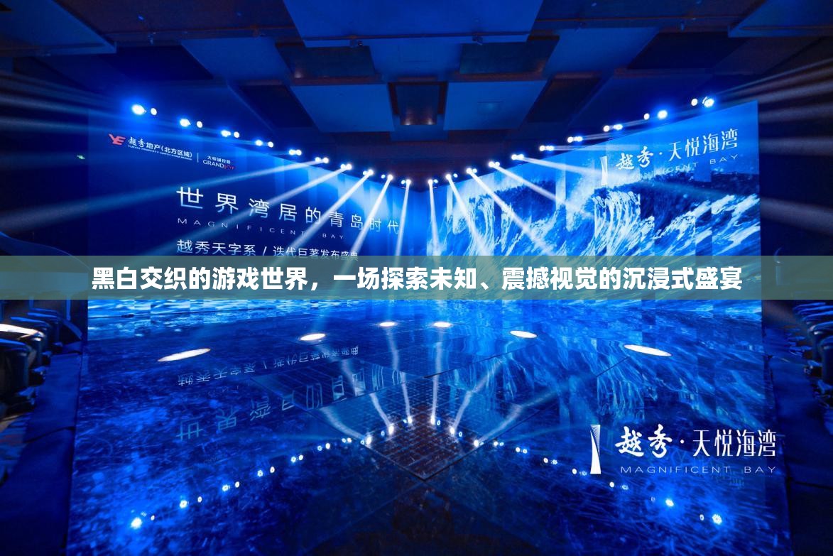 黑白交织的游戏世界，一场探索未知、震撼视觉的沉浸式盛宴