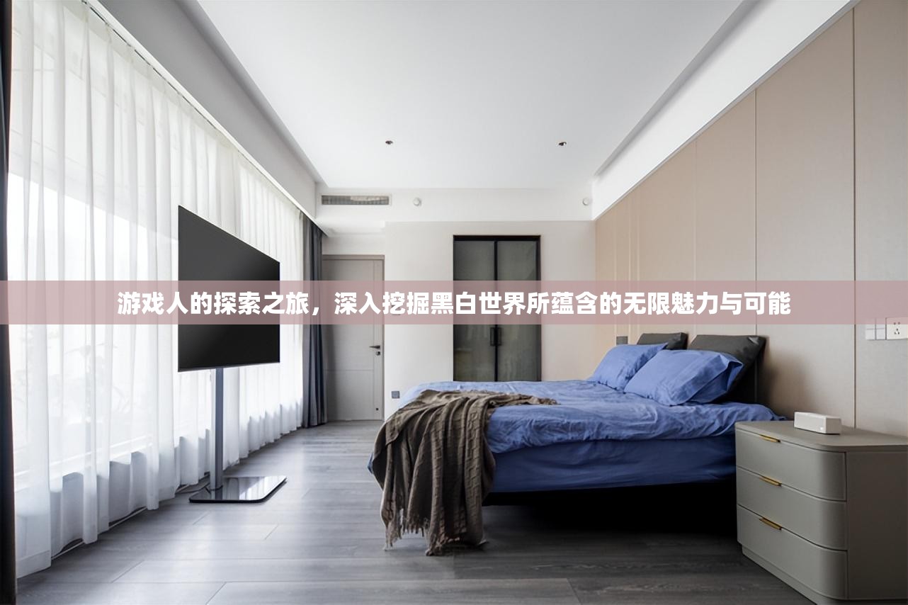 游戏人的探索之旅，深入挖掘黑白世界所蕴含的无限魅力与可能