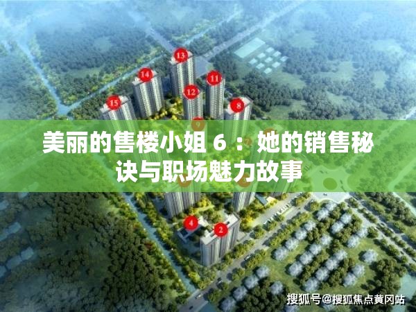 美丽的售楼小姐 6 ：她的销售秘诀与职场魅力故事