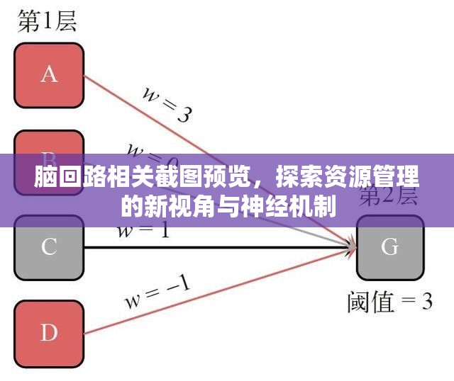 脑回路相关截图预览，探索资源管理的新视角与神经机制