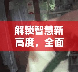 解锁智慧新高度，全面探索脑回路安装与个性化配置实战全攻略