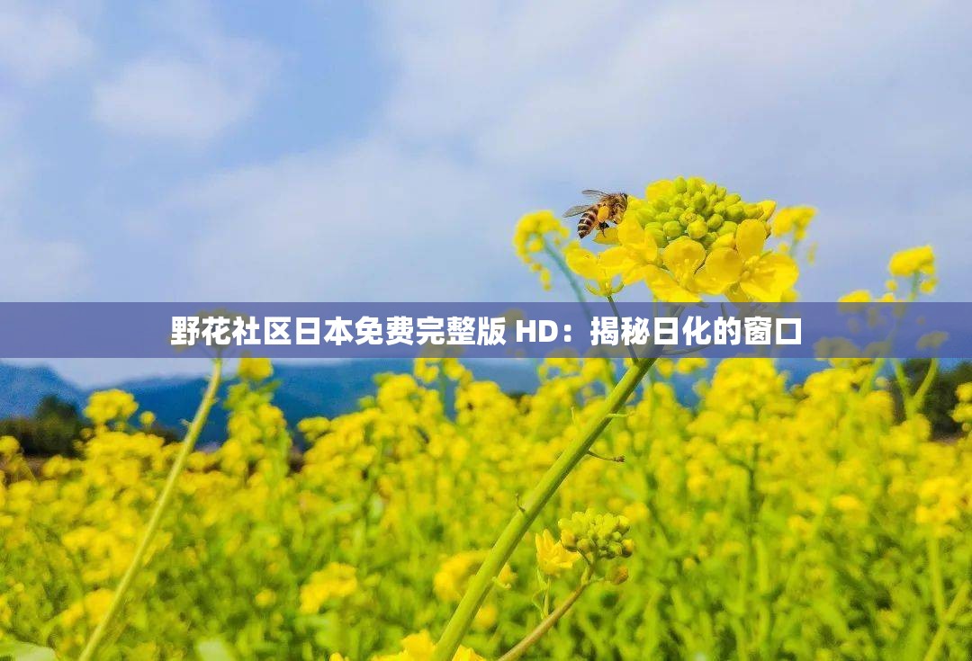 野花社区日本免费完整版 HD：揭秘日化的窗口