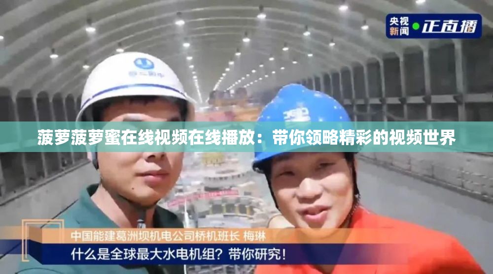 菠萝菠萝蜜在线视频在线播放：带你领略精彩的视频世界