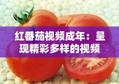 红番茄视频成年：呈现精彩多样的视频内容