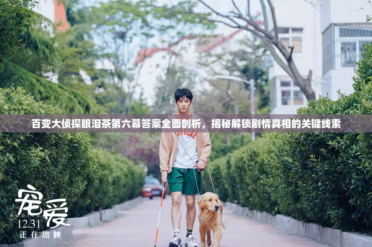 百变大侦探眼泪茶第六幕答案全面剖析，揭秘解锁剧情真相的关键线索