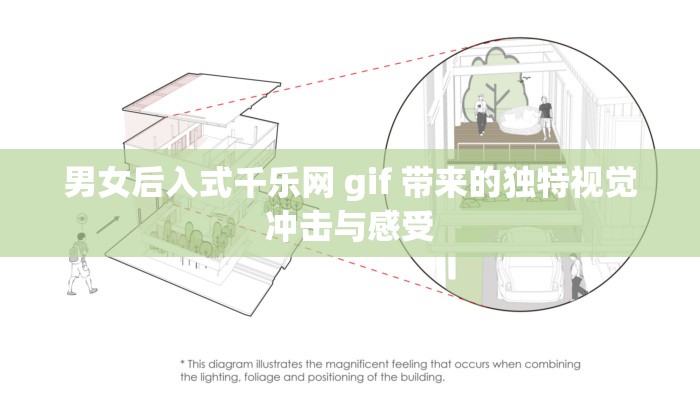 男女后入式千乐网 gif 带来的独特视觉冲击与感受