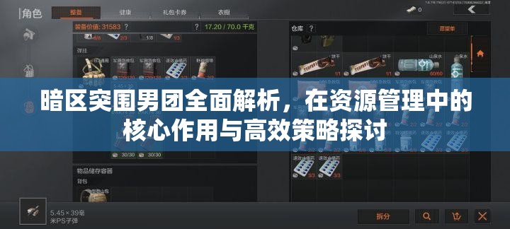 暗区突围男团全面解析，在资源管理中的核心作用与高效策略探讨