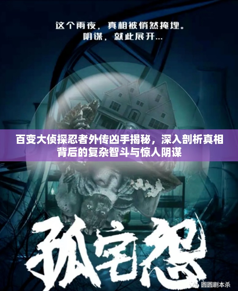 百变大侦探忍者外传凶手揭秘，深入剖析真相背后的复杂智斗与惊人阴谋