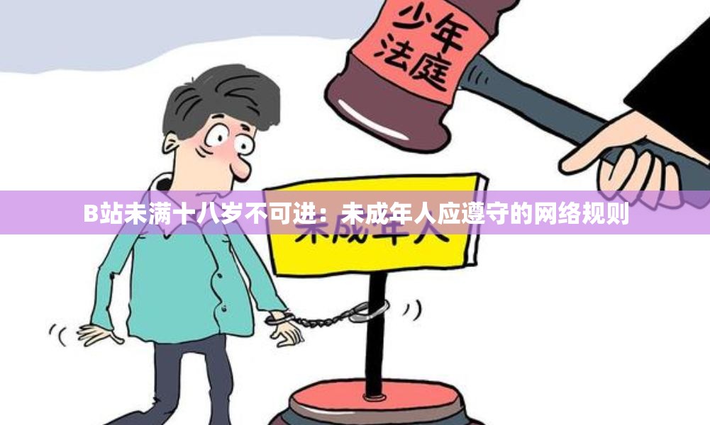 B站未满十八岁不可进：未成年人应遵守的网络规则