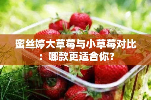 蜜丝婷大草莓与小草莓对比：哪款更适合你？
