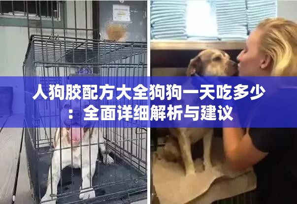 人狗胶配方大全狗狗一天吃多少：全面详细解析与建议