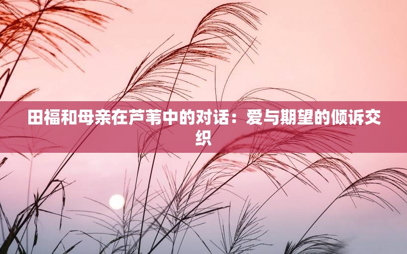 田福和母亲在芦苇中的对话：爱与期望的倾诉交织