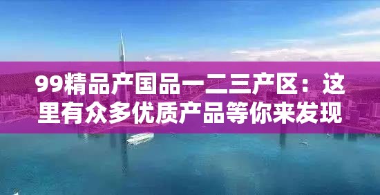 99精品产国品一二三产区：这里有众多优质产品等你来发现