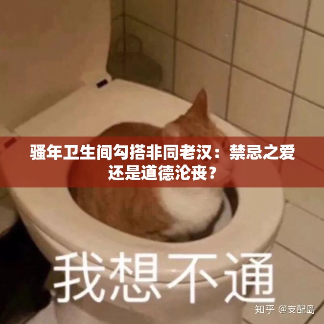 骚年卫生间勾搭非同老汉：禁忌之爱还是道德沦丧？